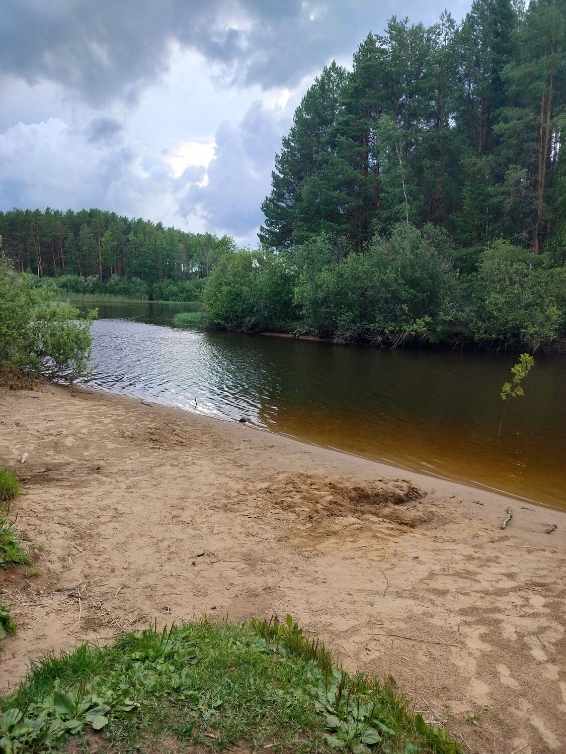 Photo #13877582