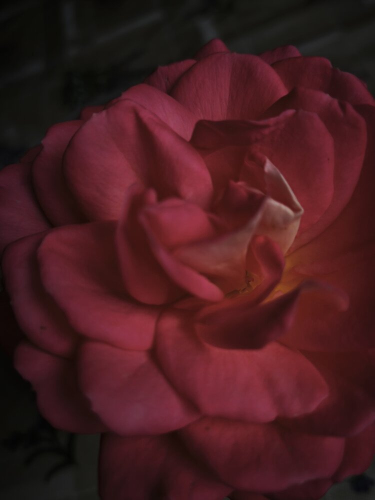Photograph by Татьяна Алексеева