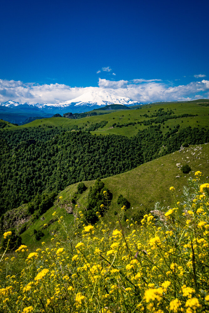 Photograph by Андрей Городецкий