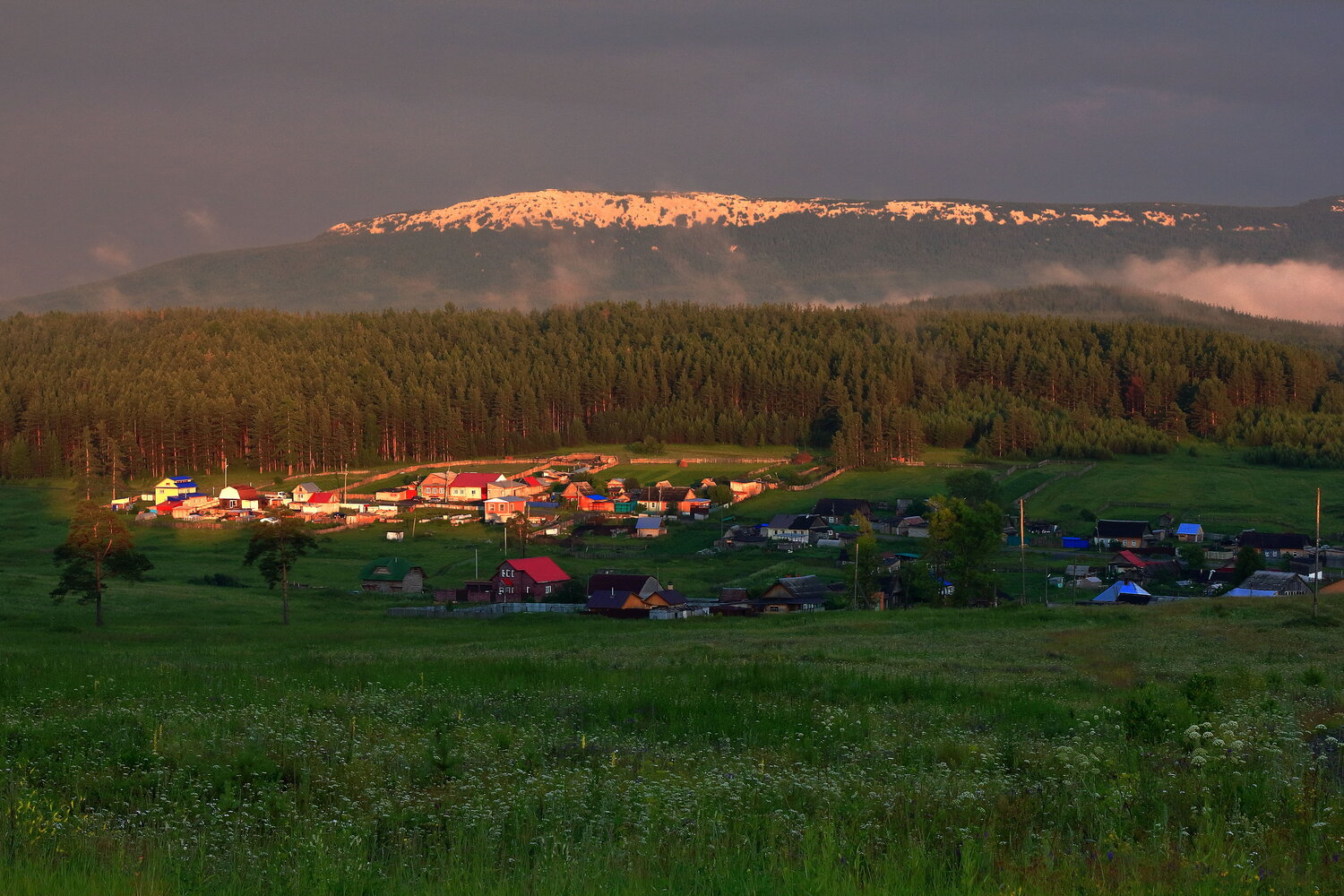 Photo #13877649