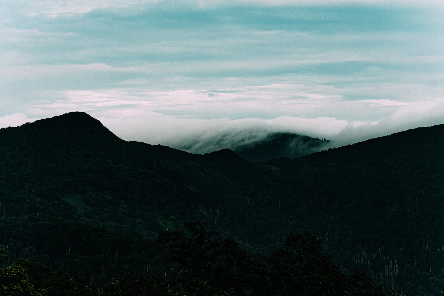 Photo #13877668
