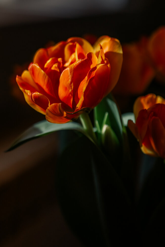 Photograph by Перепёлкина Анастасия