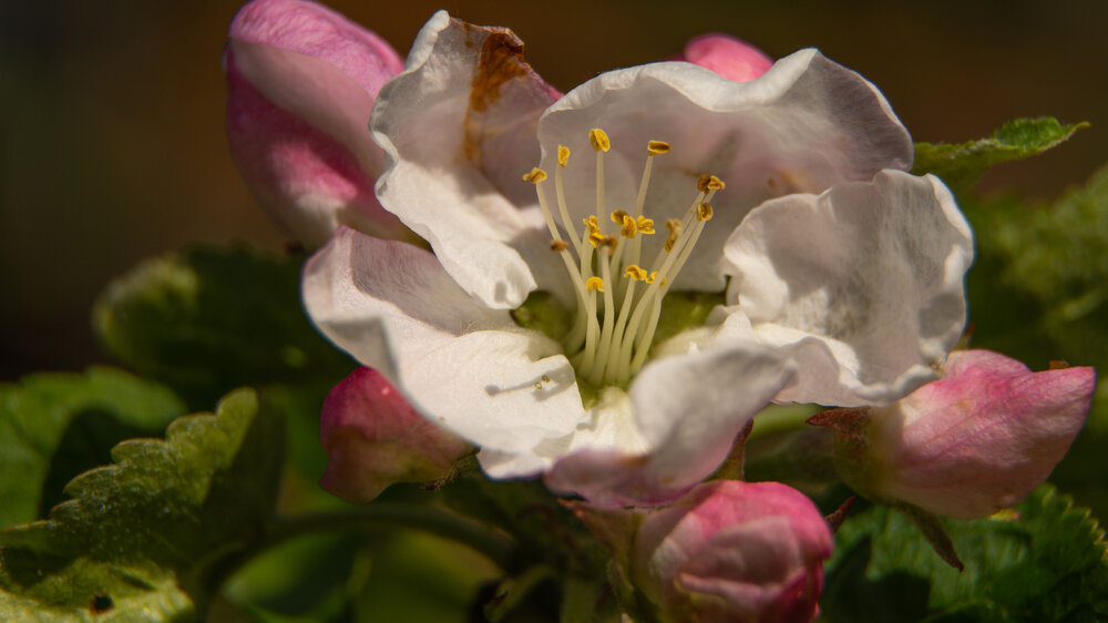 Photograph by Нина Малютина