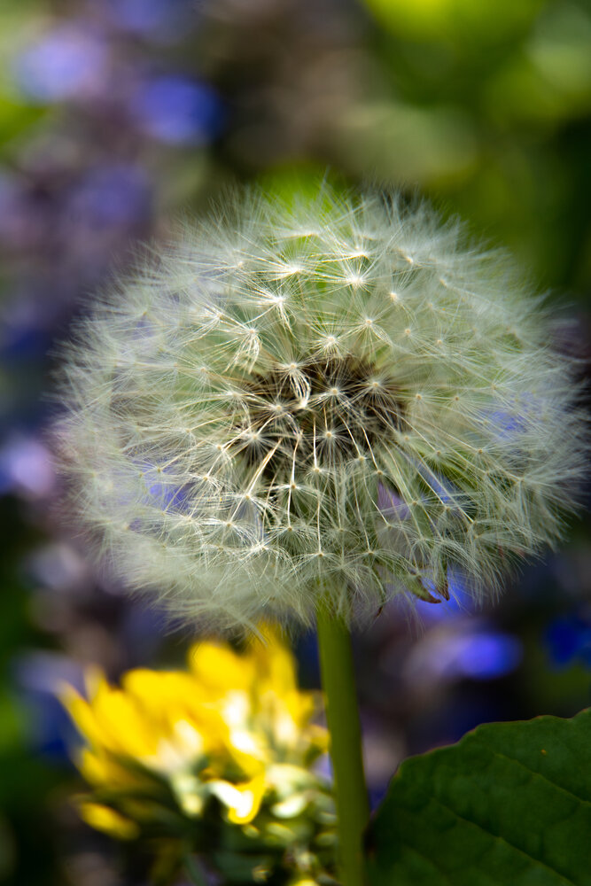 Photograph by Нина Малютина