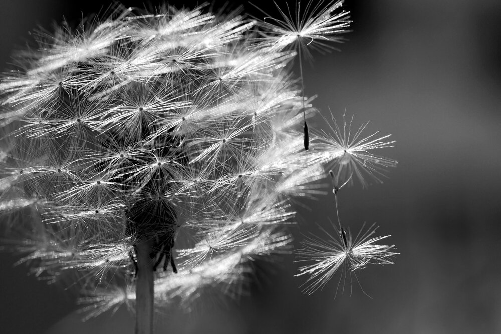 Photograph by Владимир Лобанов