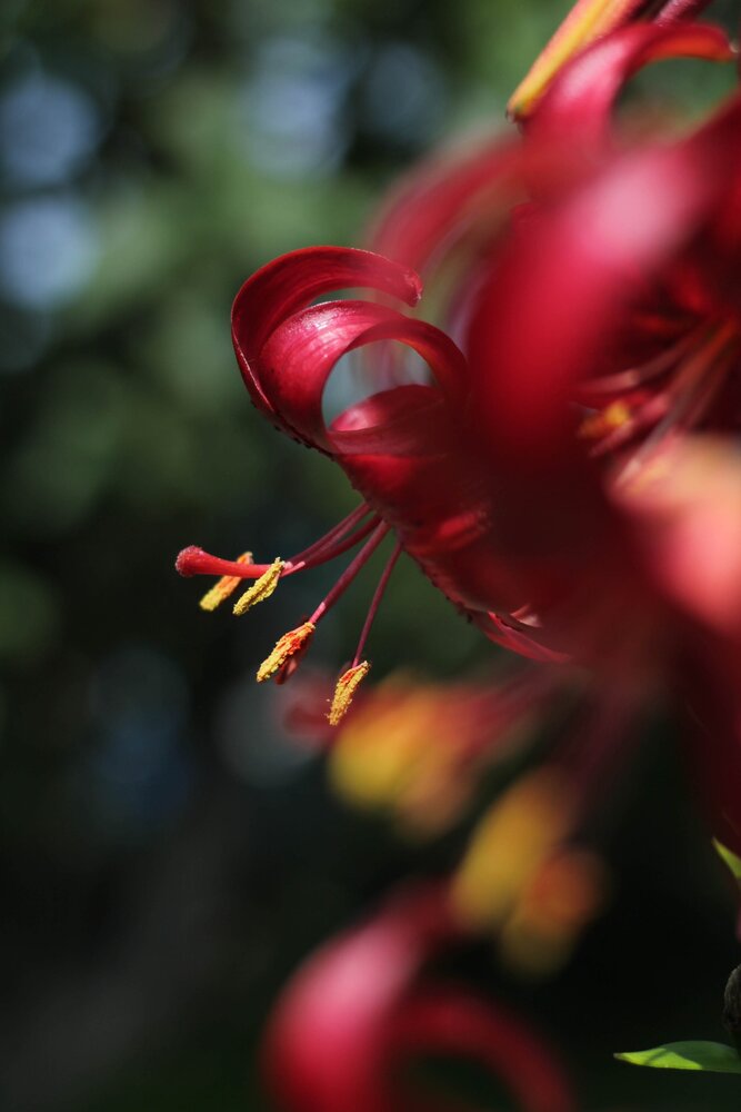Photograph by Любовь Иванова