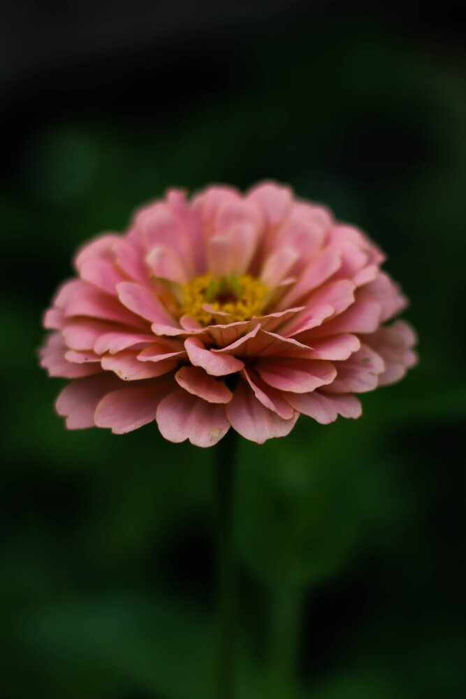 Photograph by Любовь Иванова