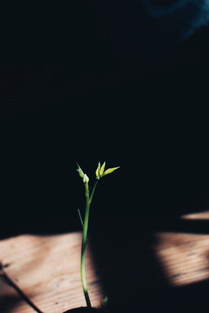Photograph by Любовь Иванова