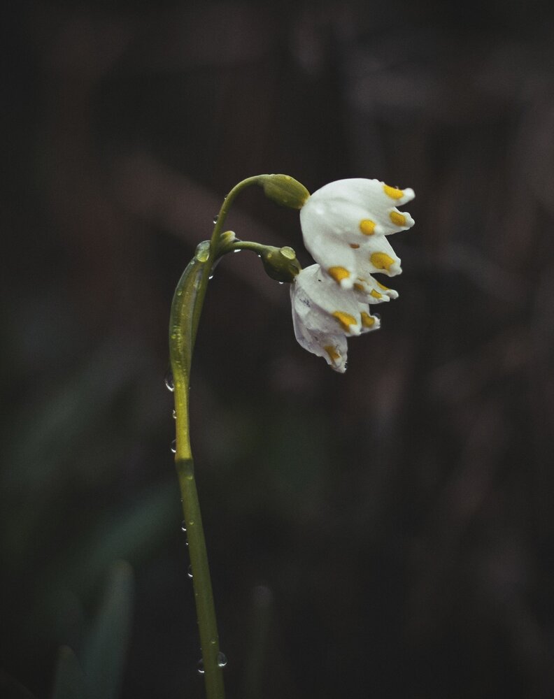 Photograph by Любовь Иванова