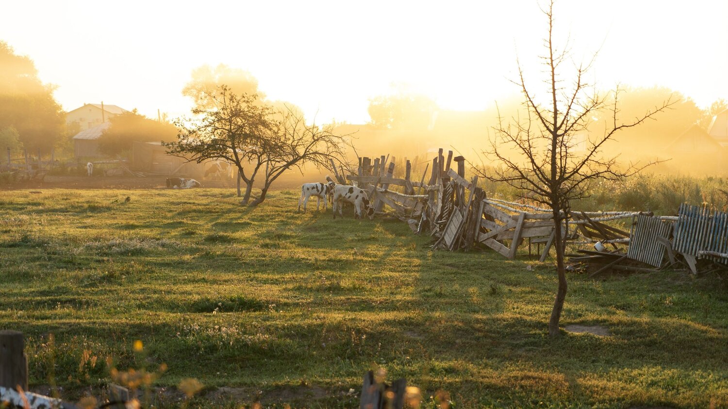 Photo #13877923
