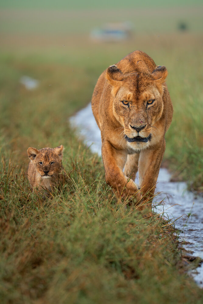 Photograph by Bagaria Abhisek