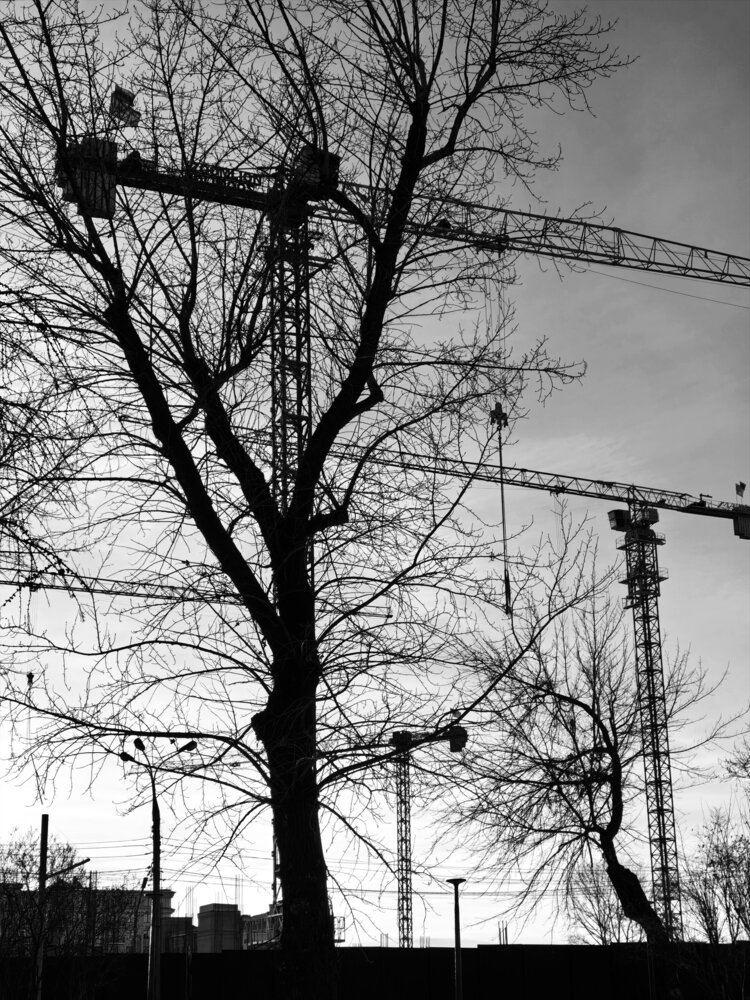 Фотография автора Александра Устюгова