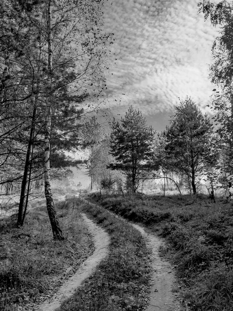 Photograph by Жанна Нечаева