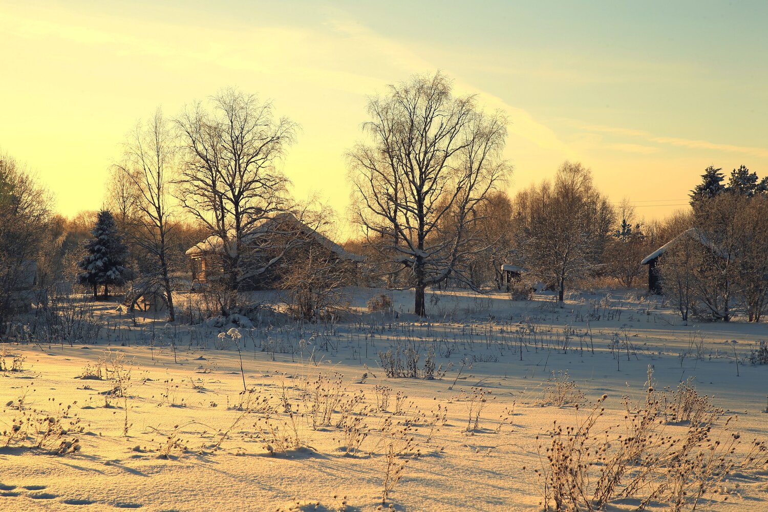 Photo #13878070