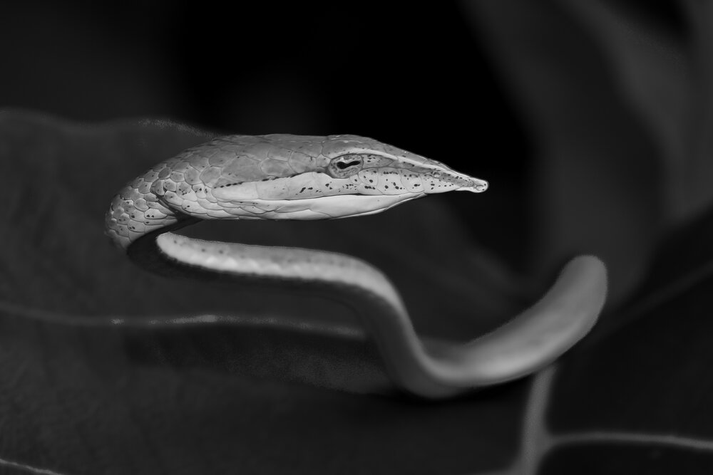 Photograph by Bhavesh Babre