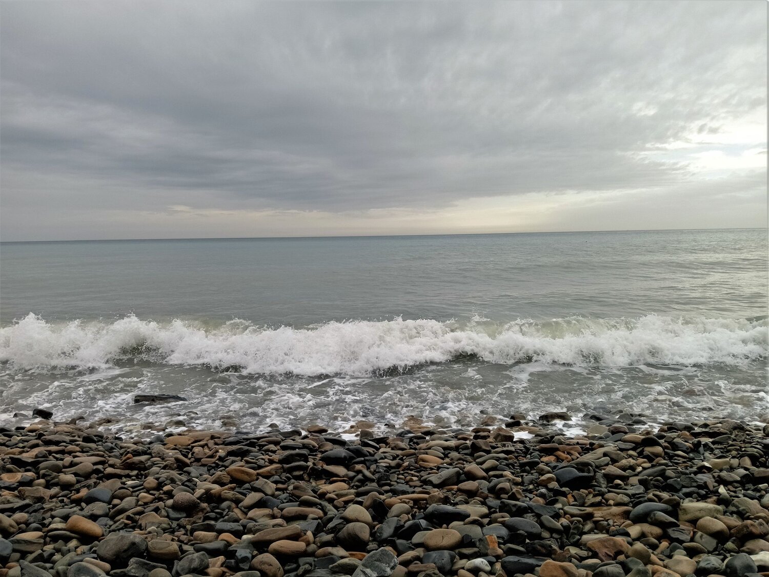 Photo #13878080