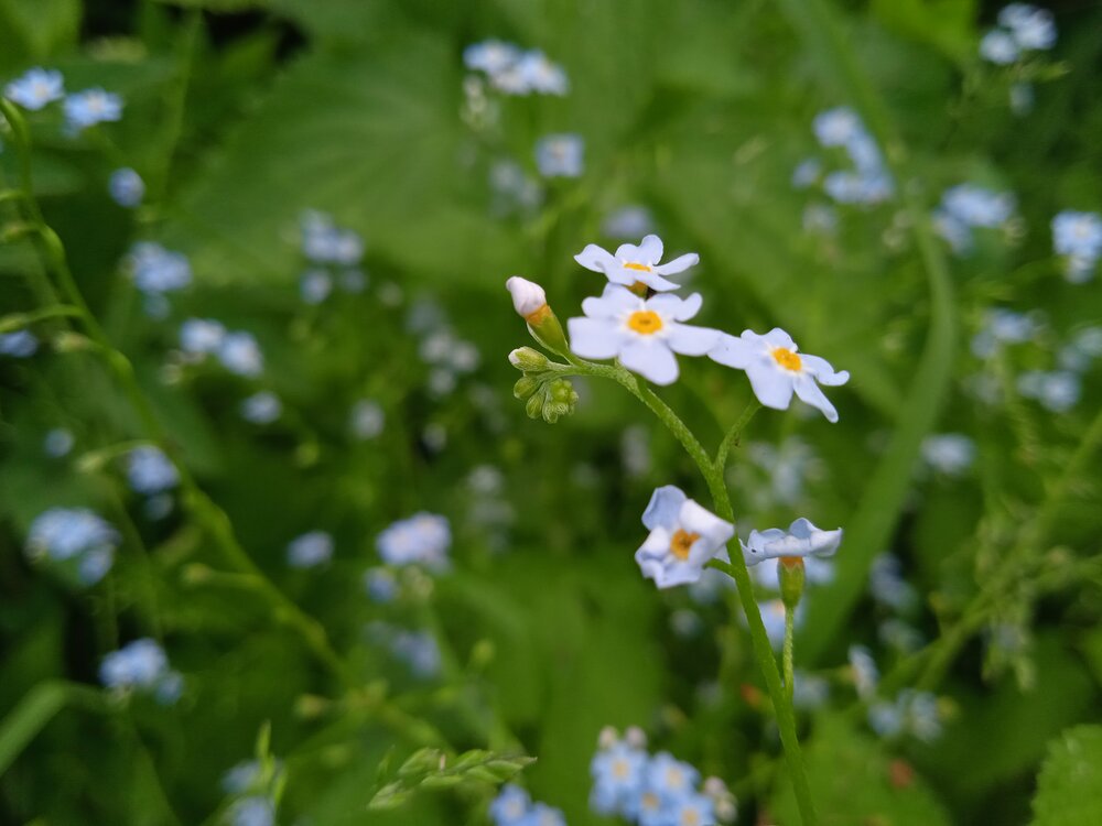 Photograph by Наталья Сорокина