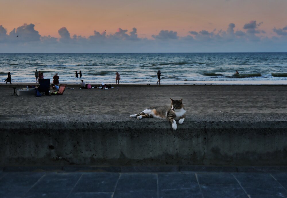 Photograph by SÜLEYMAN ÜLKER