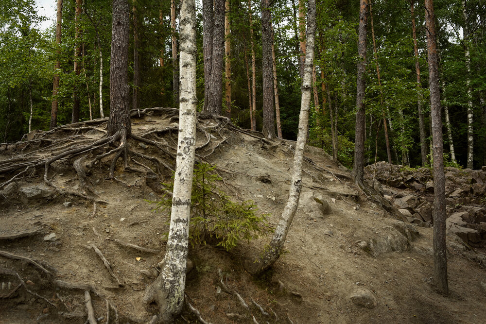Photograph by Виктория Кос