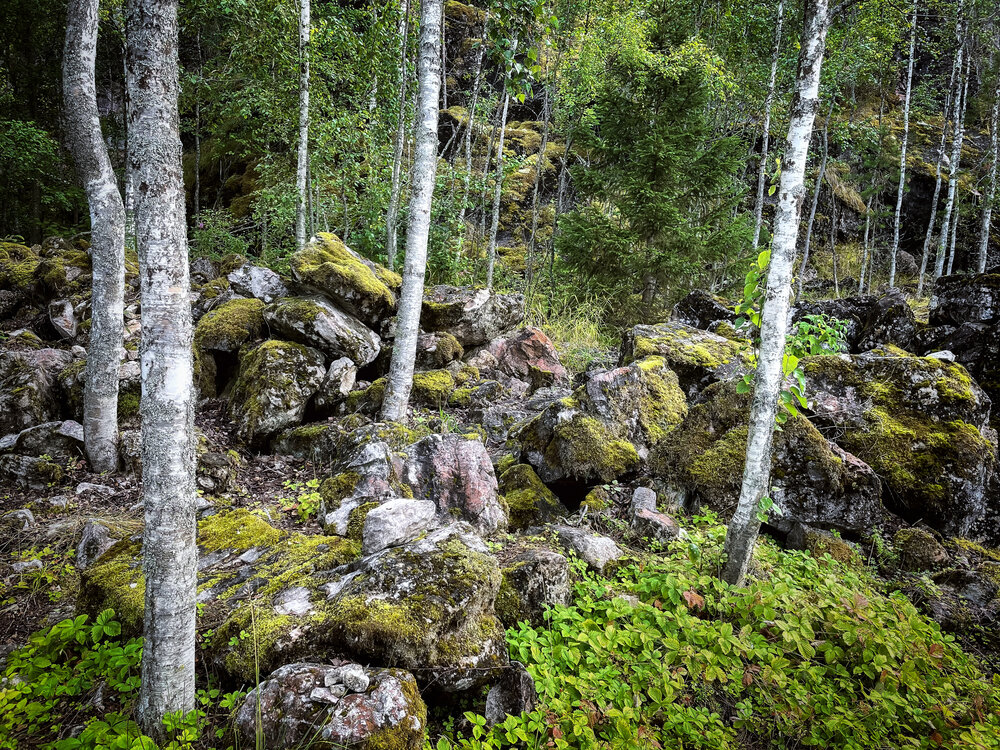 Photograph by Виктория Кос