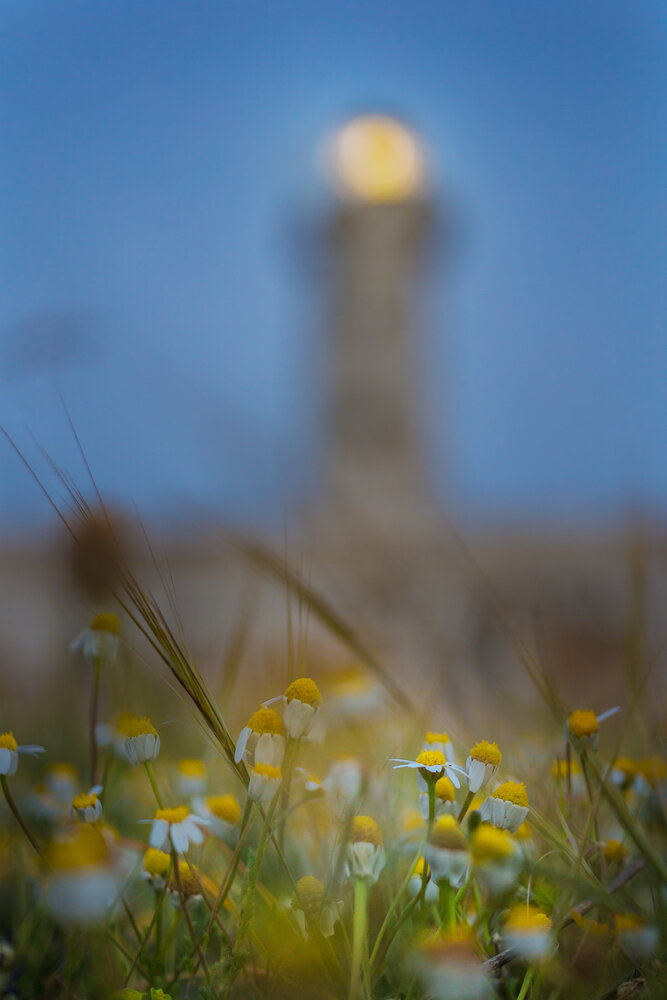 Photograph by Salvatore Di Maria