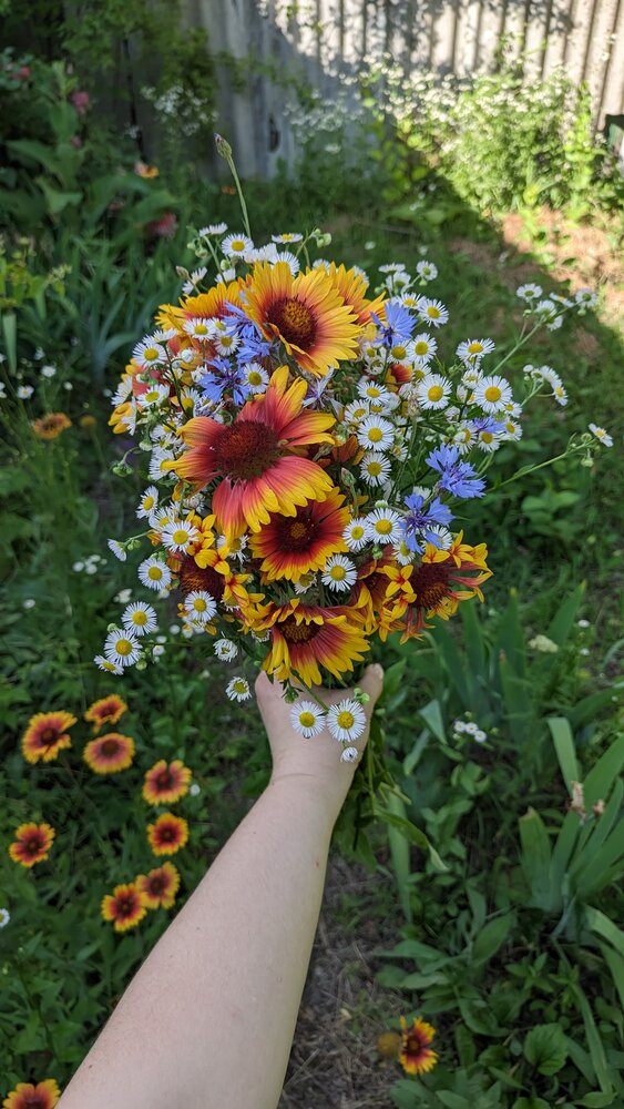 Photograph by Анна Напримерова