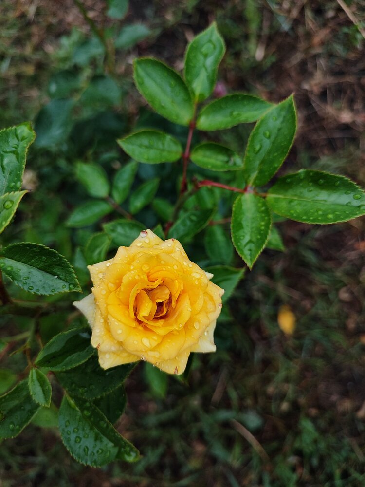Photograph by Анна Напримерова