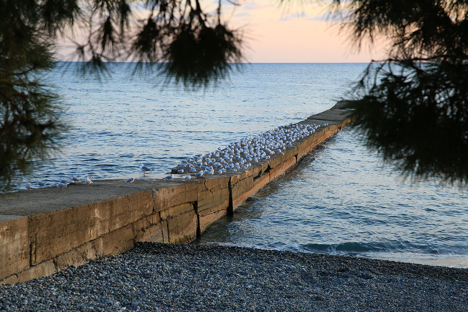 Photo #13878257