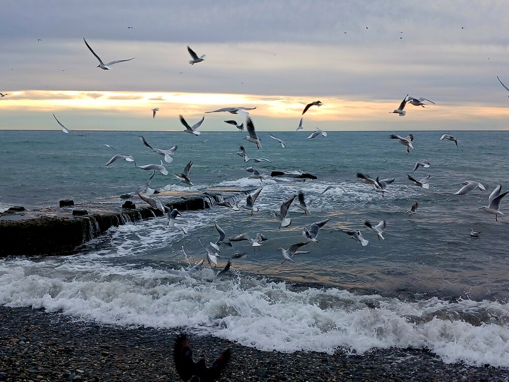 Photograph by Елена Кузнецова