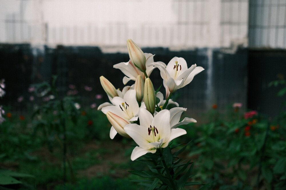 Photograph by Борисов Владимир