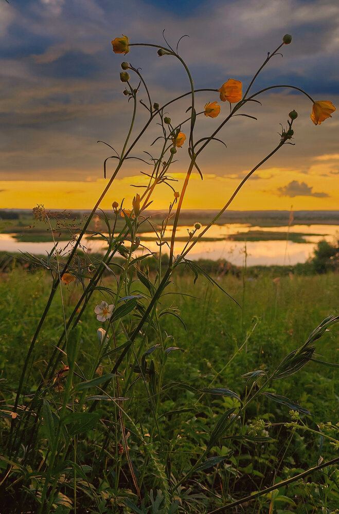 Photograph by Серёга Ануфриев