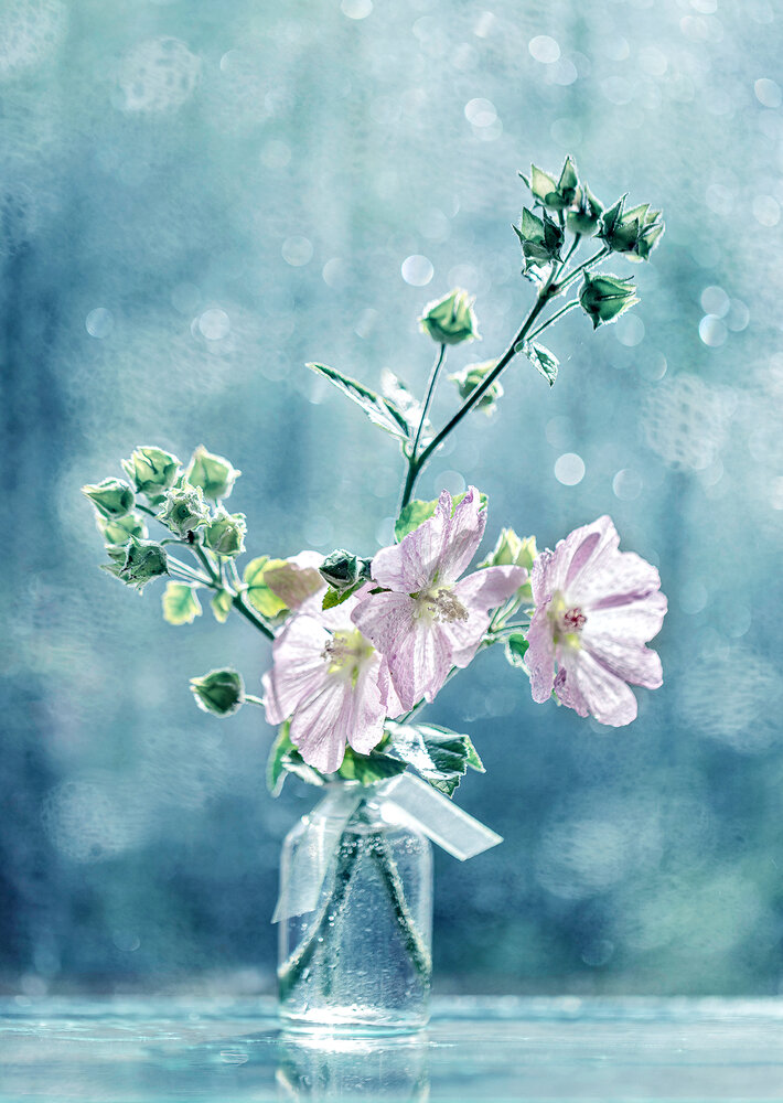 Photograph by Natalia Matyukhina