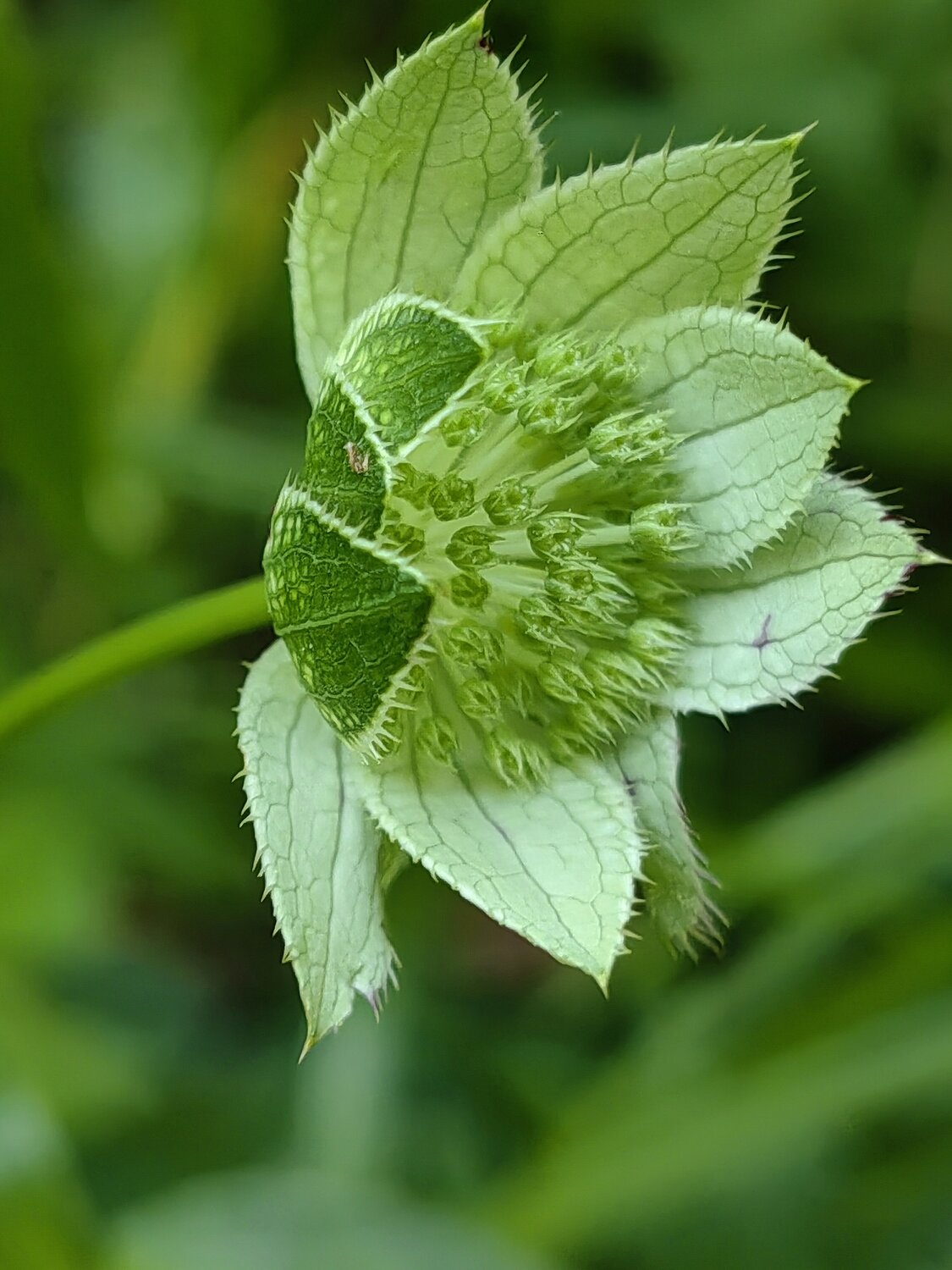 Photo #13878450