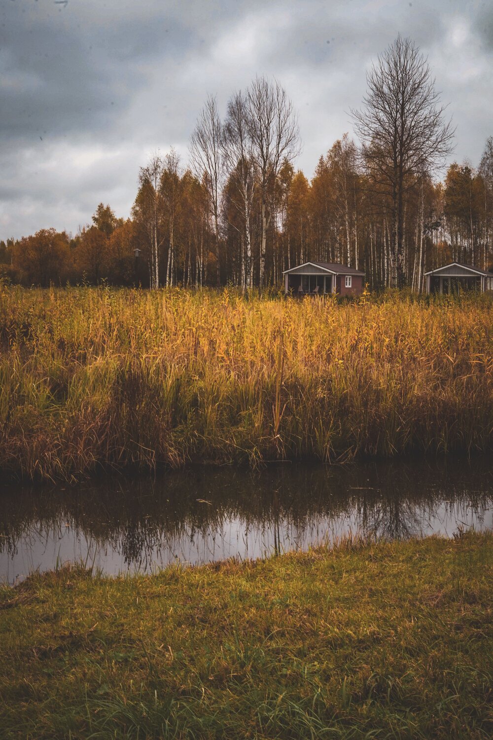 Photo #13878489