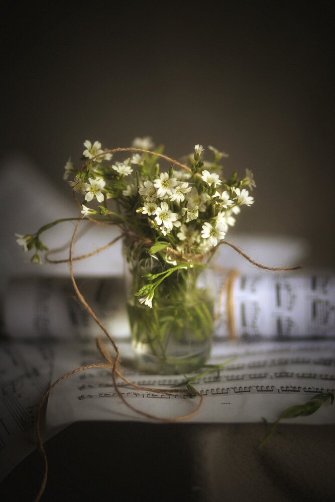 Photograph by Татьяна Максакова
