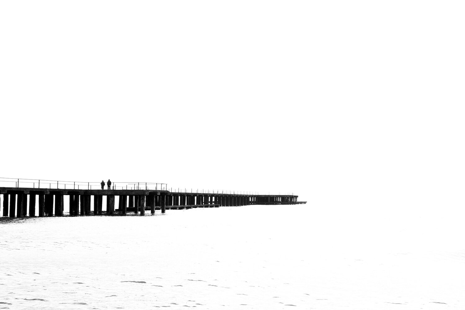 Photo #13878546