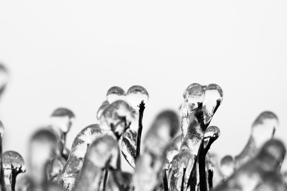 Photograph by Вячеслав Помазан