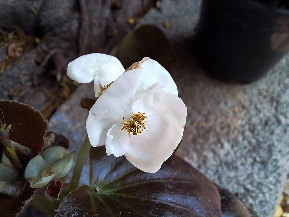 Photograph by Murugan M