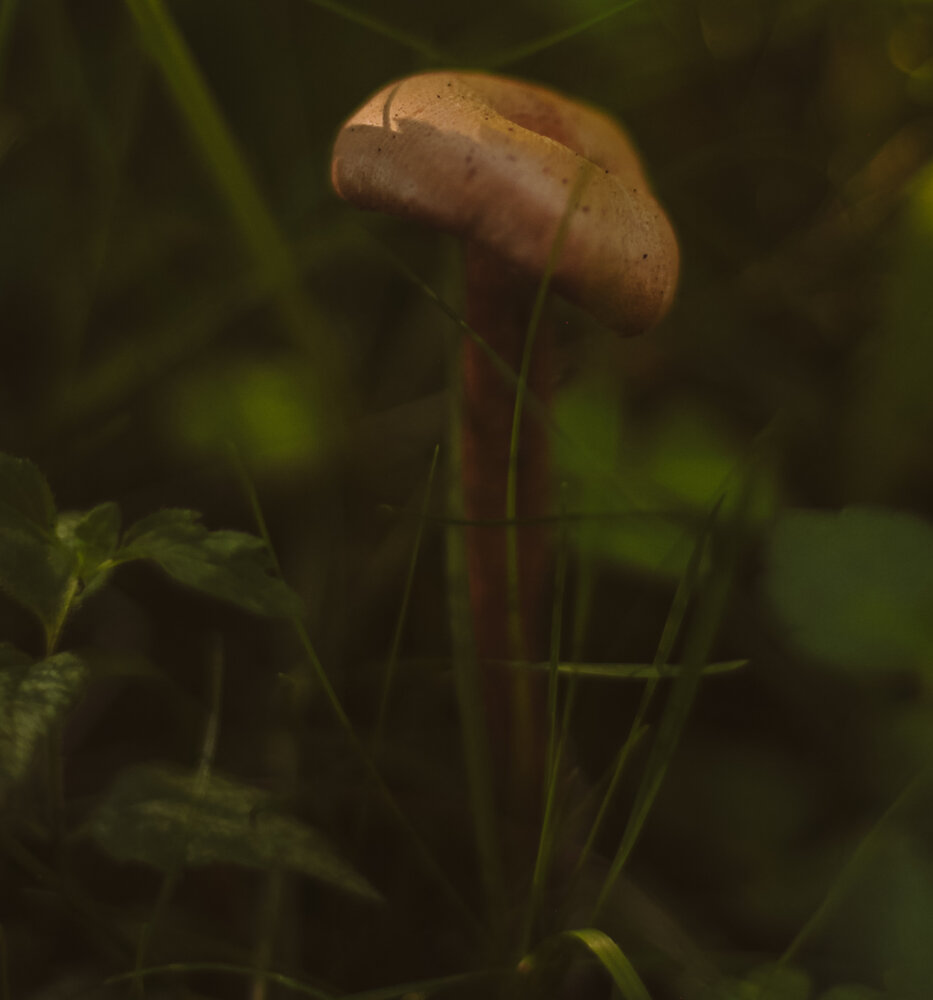 Photograph by Полина Шулятьева