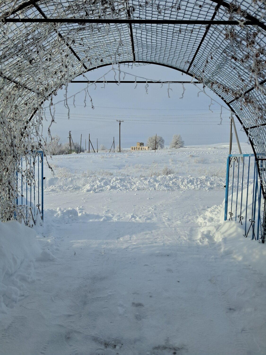 Photo #13878652