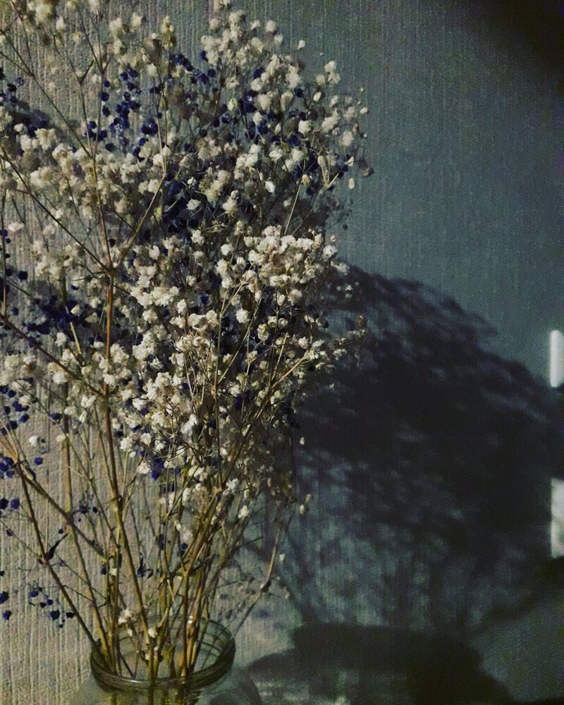 Photograph by Айгуль