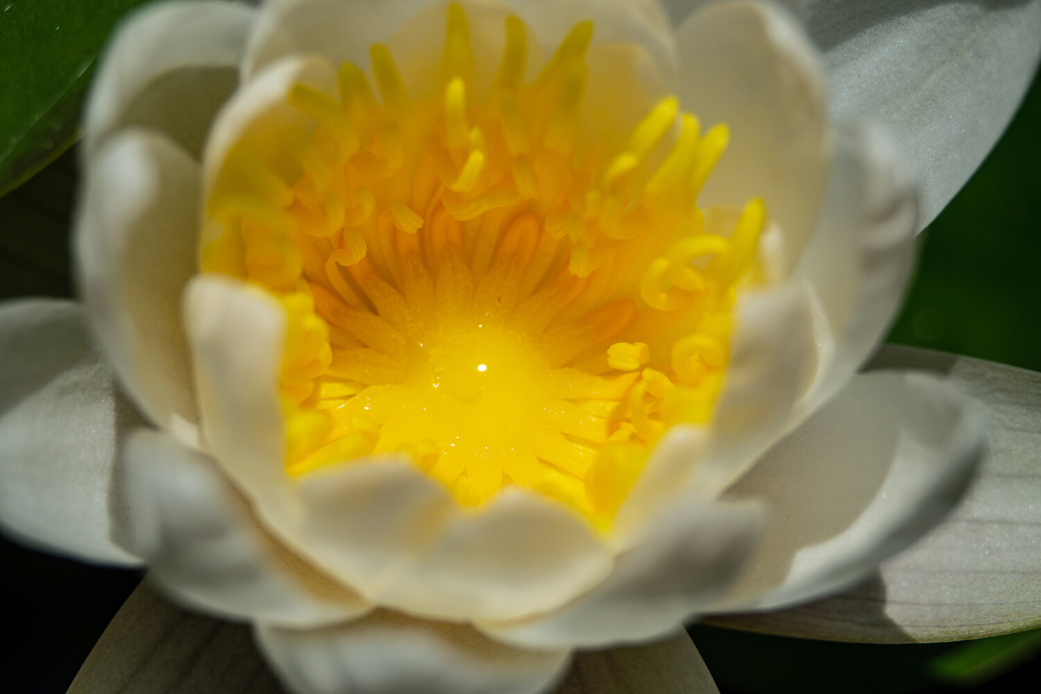 Photo #13878806