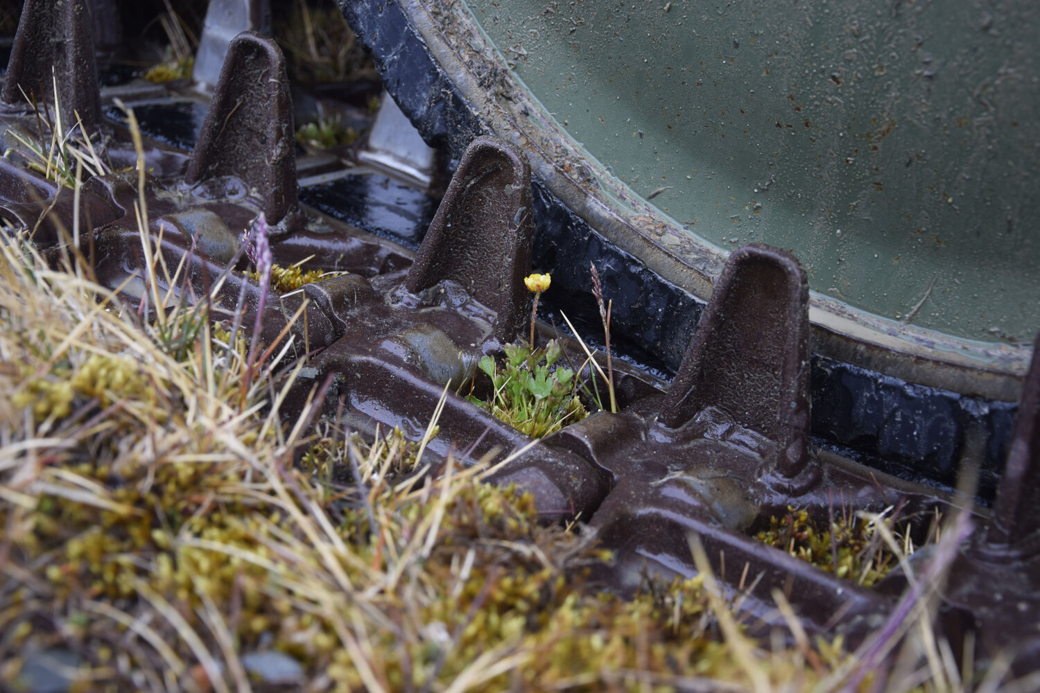 Photo #13878807