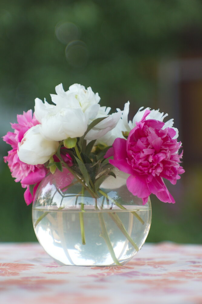 Photograph by Irina Maliukova