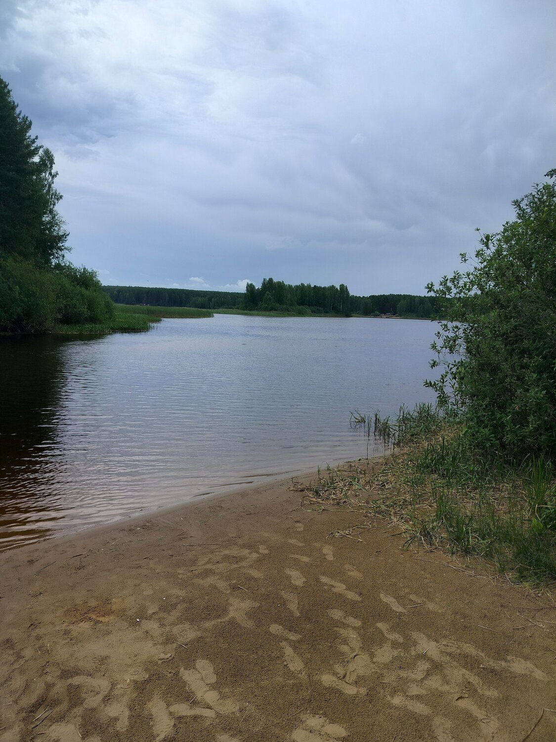 Photo #13878853