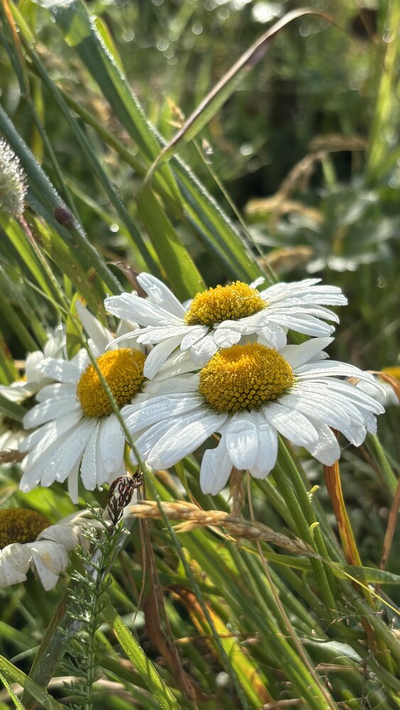 Photograph by Ирина Елисеева