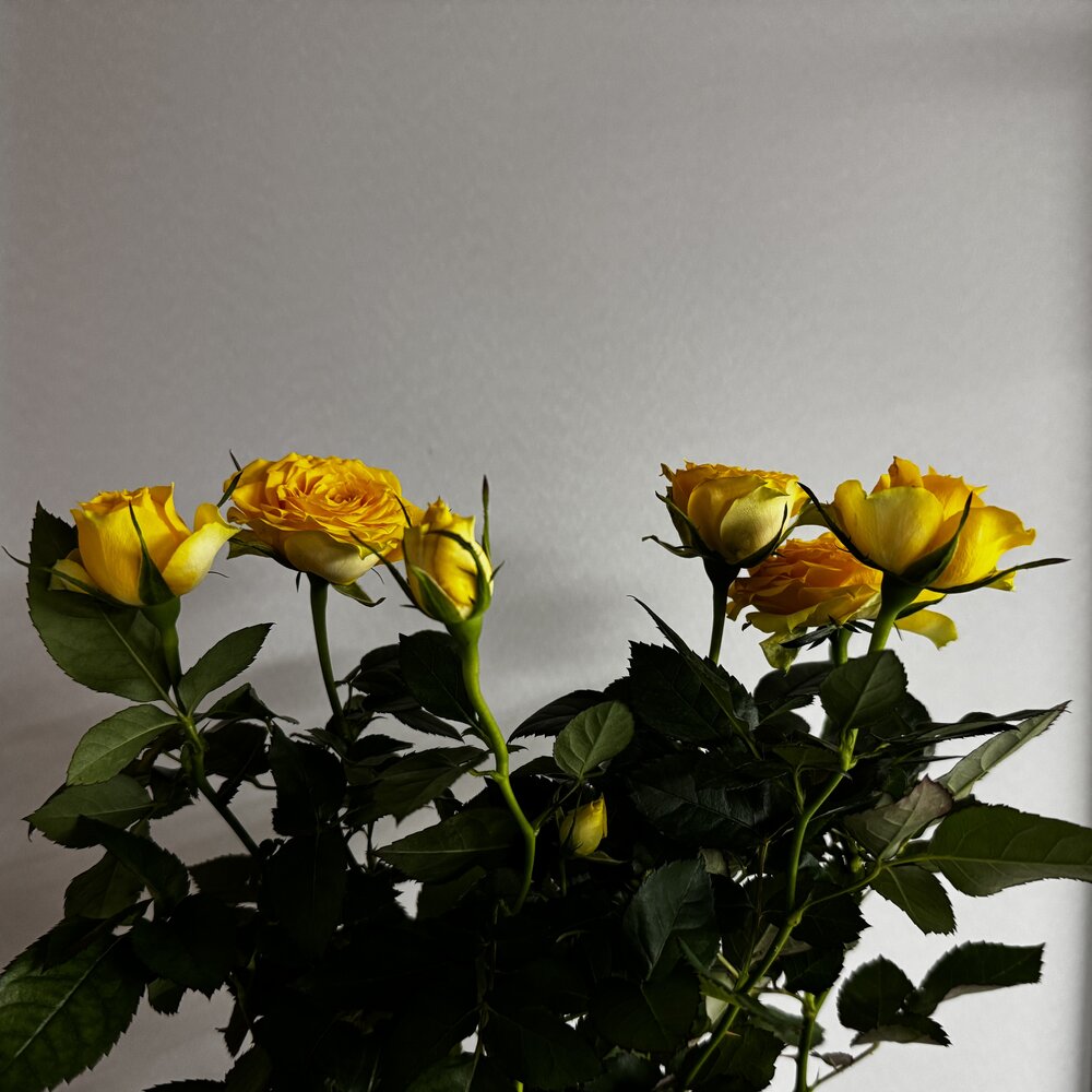 Photograph by Сергей Смирнов