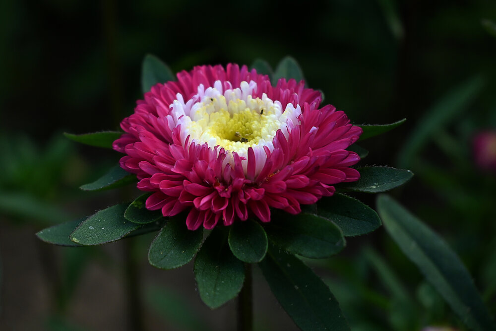 Photograph by Марина Юркова