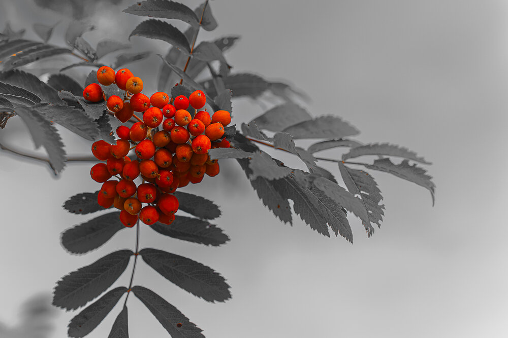 Photograph by Sergey Grin