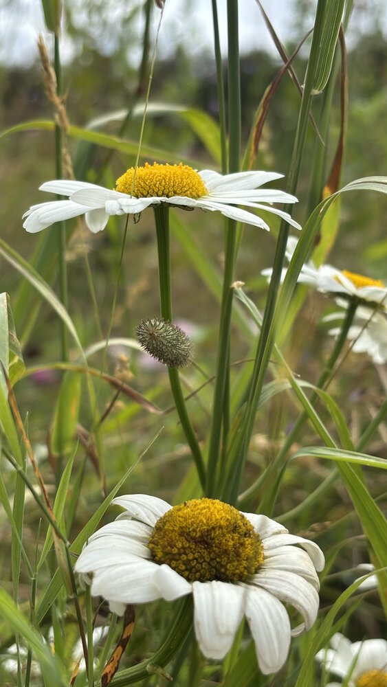 Photograph by Ирина Елисеева
